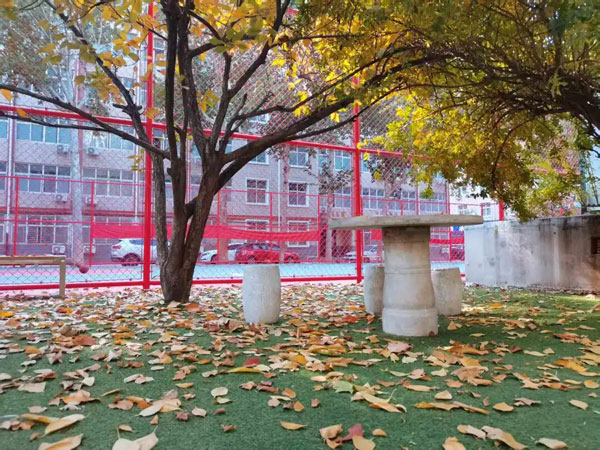 法商校园秋日限定，美景正当时！